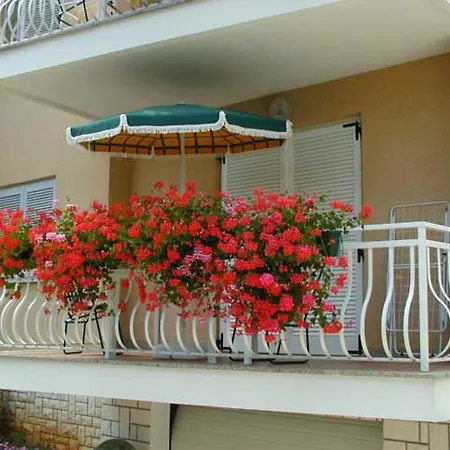 Apartment Blue *